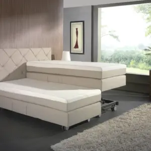 Verlora Ivory